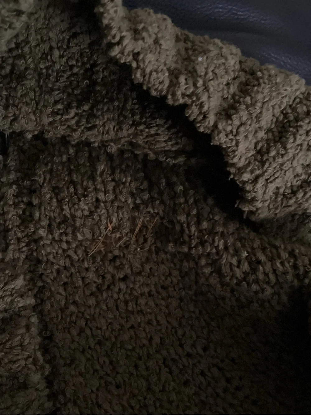 Free People Cozy Women's Olive Knit Sweater